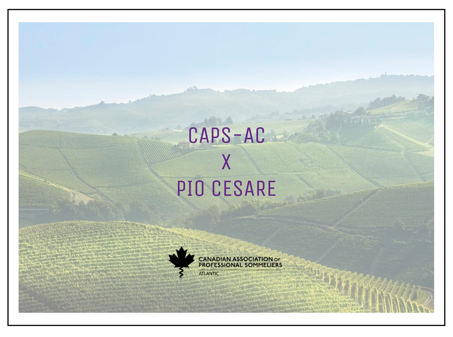 (SOLD OUT) CAPS-AC TASTING - PIO CESARE